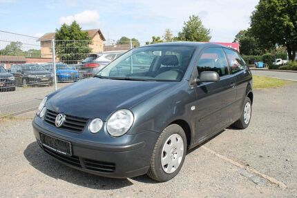 VW Polo
