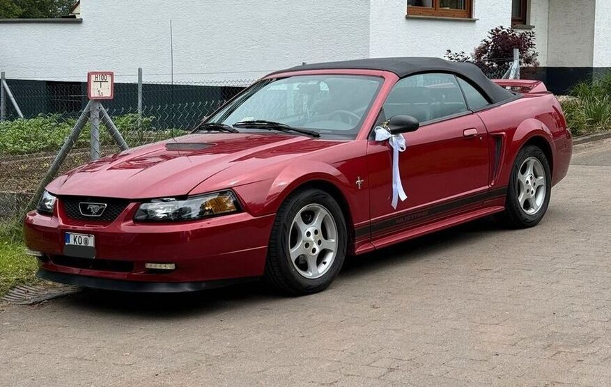 Mustang