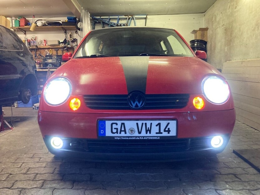 Lupo