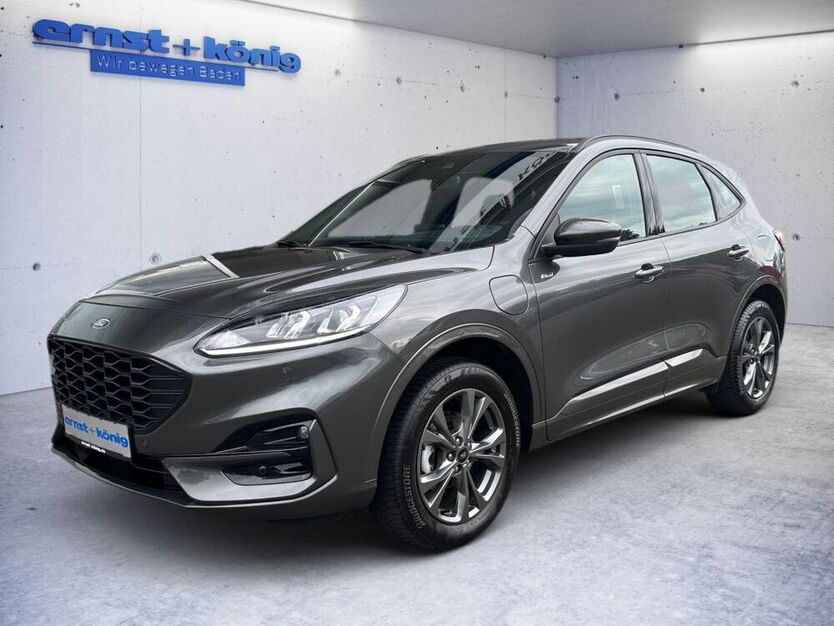 Kuga