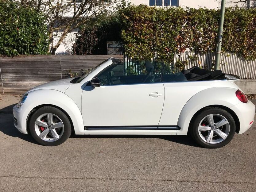 Beetle