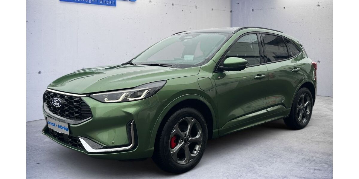 Ford Kuga 18.951 km 39.999 &euro; Singen 78224