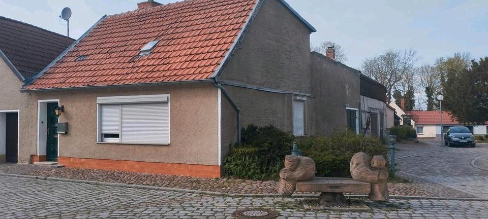Reihenhaus Arneburg - 3 Zimmer, 75 m&sup2;, 65.000&euro; | Angebot:26351304