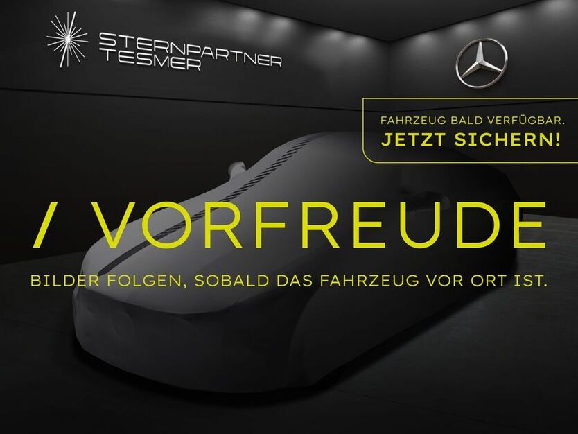 V 300