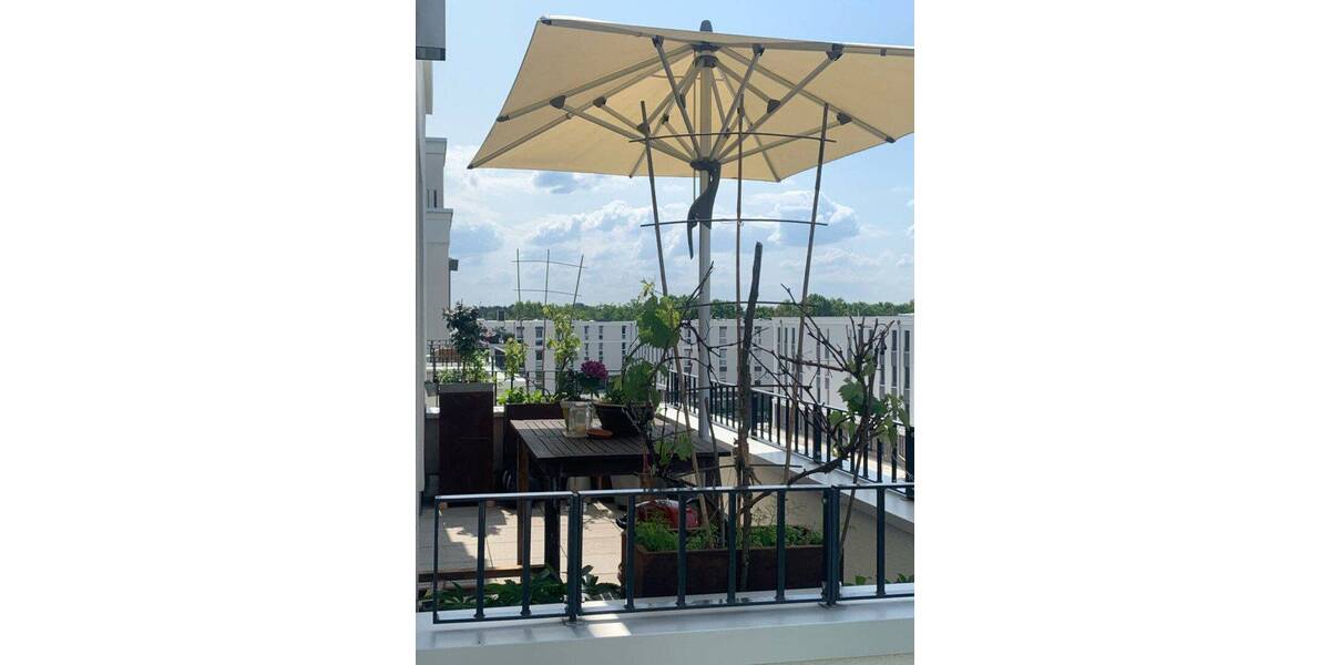 Etagenwohnung Potsdam Waldstadt I - 1 Zimmer, 57 m&sup2;, 530&euro; | Angebot:26851714