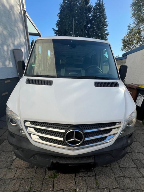 Sprinter