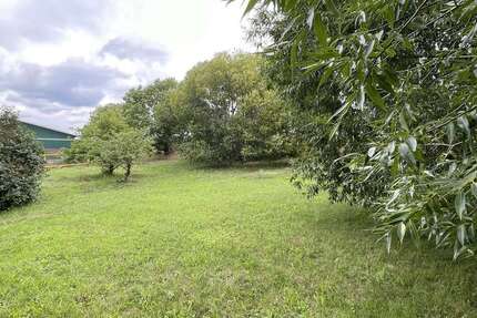 Grundstück zu verkaufen in Steffenshagen 280.000 € 1800 m² zimmer