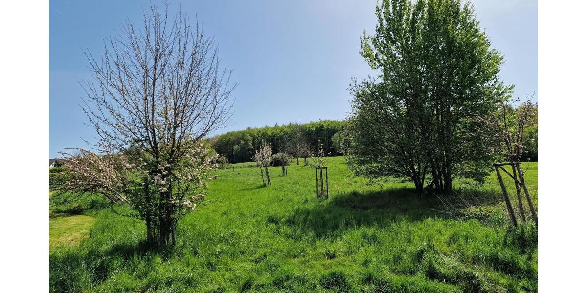 Barrierefreie Neubau - Eigentumswohnung KfW 55 ! - Erdgeschoßwohnung Ötzingen Sainerholz | Angebot:25079568