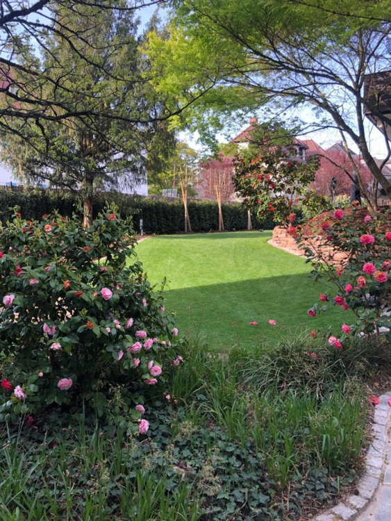 Haus zum Mieten in Heidelberg 3.800 € 196 m² 8 zimmer