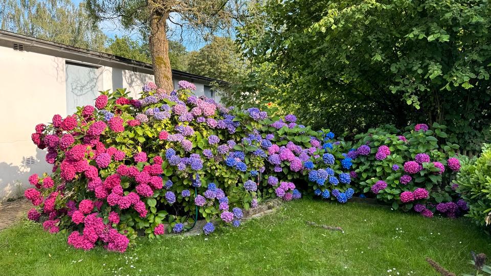 Etagenwohnung Marl - 6 Zimmer, 130 m&sup2;, 239.000&euro; | Angebot:25045041