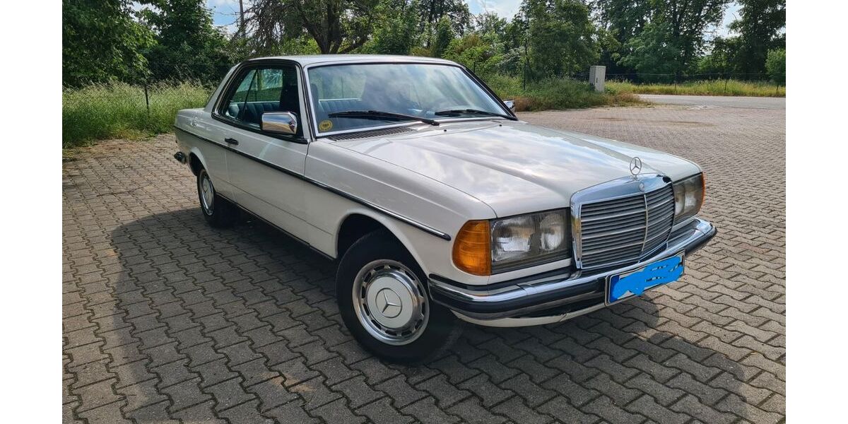Mercedes-Benz 230 223.000 km 12.500 &euro; Dommitzsch 04880