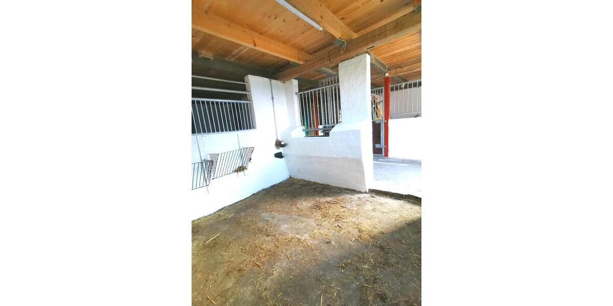 Bauernhaus, Landhaus Lunden - 10 Zimmer, 293 m&sup2;, 549.000&euro; | Angebot:23589132