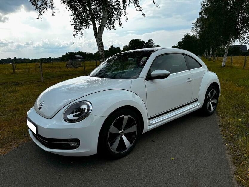 Beetle