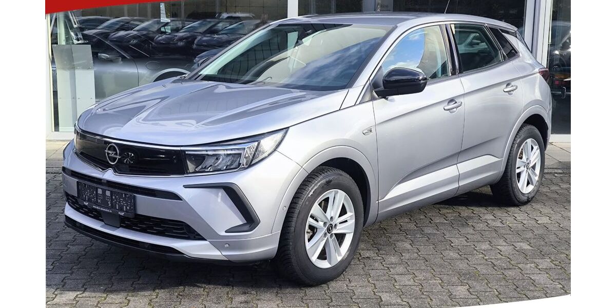 Opel Grandland (X) 28.000 km 19.450 &euro; Dieburg 64807