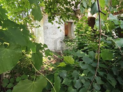 GRÜN, RUHIG UND IDYLLISCH - MIT ALTBESTAND - Grundstück Schönwölkau | Angebot:27111065