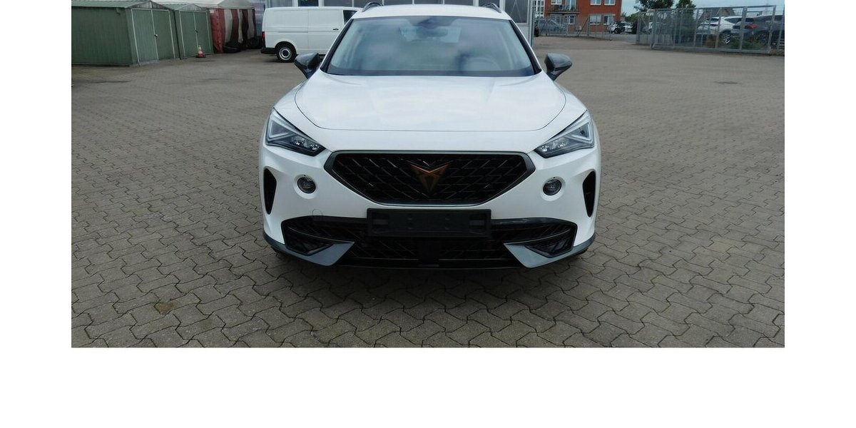 Cupra Formentor 1.5 TSI BMT Klima LED Alu 22.200 km 20.990 &euro; Vordorf 38533