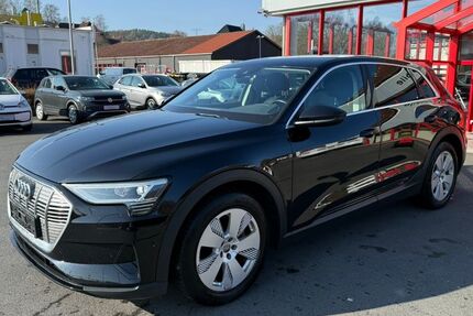 Audi Q8 e-tron 256.059 km 13.900 &euro; Suhl 98529