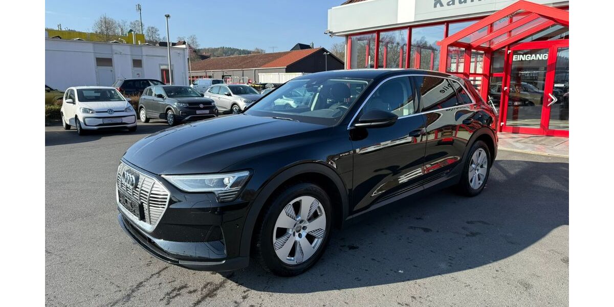 Audi Q8 e-tron 256.059 km 16.000 &euro; Suhl 98529