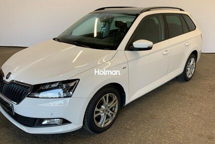 Skoda Fabia 162.090 km 9.031 &euro; Eschborn 65760