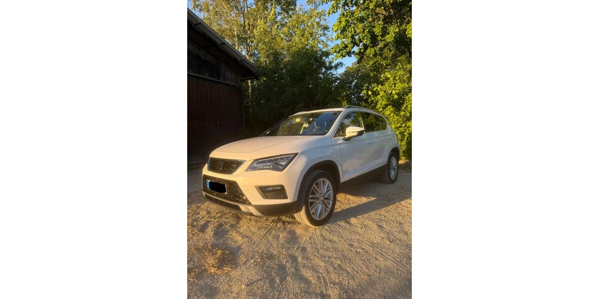 Seat Ateca 166.000 km 17.200 &euro; Salach 73084