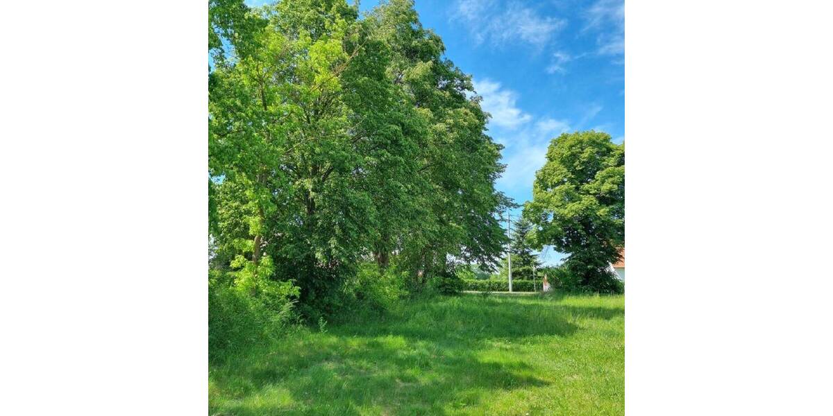 Grundstück Neißeaue OT Kaltwasser Kaltwasser - 31.500&euro; | Angebot:25681053