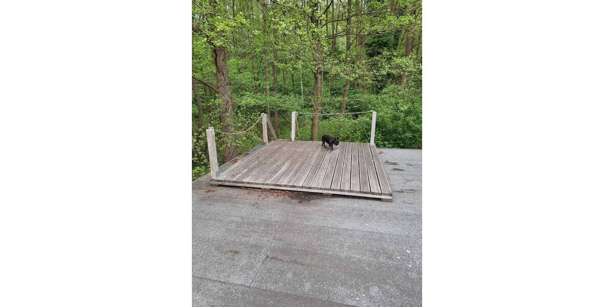 Einfamilienhaus Rheinsberg OT Großzerlang Großzerlang - 4 Zimmer, 120 m&sup2;, 600.000&euro; | Angebot:26486643