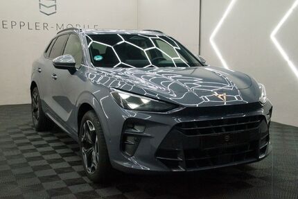 Cupra Terramar 14.952 km 41.980 &euro; Geisingen 78187