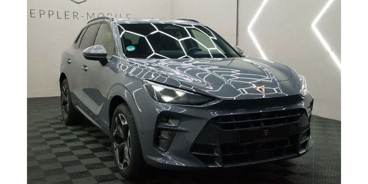 Cupra Terramar 14.952 km 41.980 &euro; Geisingen 78187