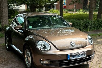 VW Beetle