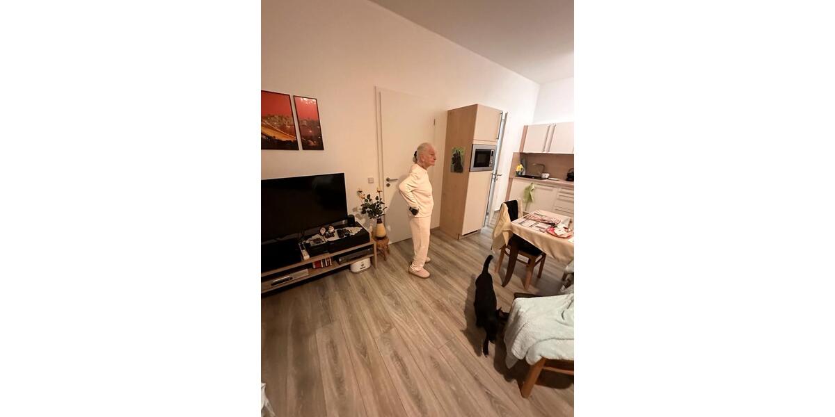 Etagenwohnung Krauthausen - 2 Zimmer, 50 m&sup2;, 800&euro; | Angebot:25418622