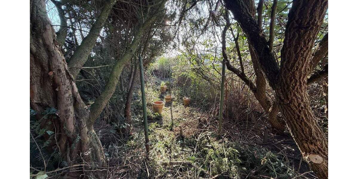 Reihenmittelhaus Duisburg Beeck - 4 Zimmer, 73 m&sup2;, 119.000&euro; | Angebot:25534763