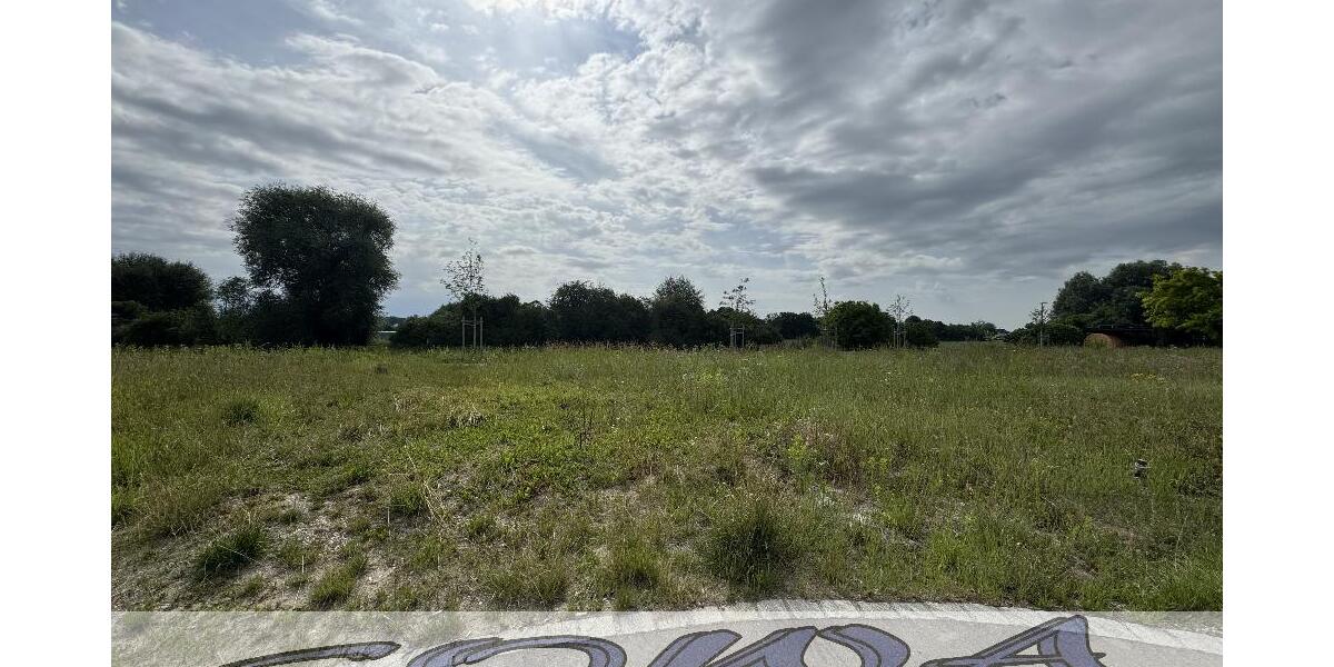 Baugrundstück Neuburg Heinrichsheim ohne Bauzwang - Ein Objekt von Ihrem Immobilienpartner SOWA Immobilien und Finanzen - Grundstück Neuburg | Angebot:27143414
