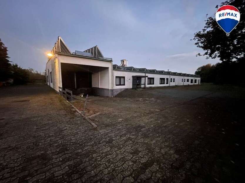 Halle in Rahden 699.000 € 2000 m²