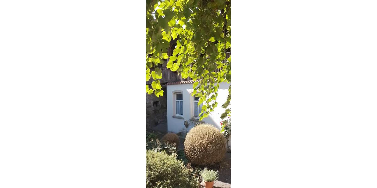 Erdgeschoßwohnung Bad Königshofen im Grabfeld - 3 Zimmer, 83 m&sup2;, 790&euro; | Angebot:25207628