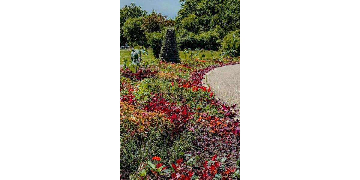 Etagenwohnung Bad Füssing Riedenburg - 2 Zimmer, 29 m&sup2;, 451&euro; | Angebot:25391500