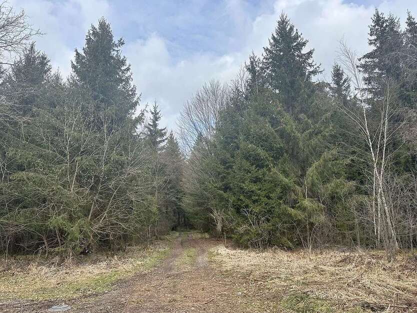 Grundstück in Vogtareuth 215.000 € 32600 m²