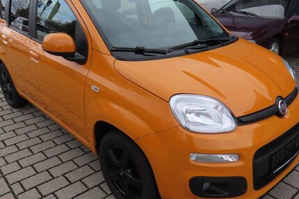 Fiat Panda 59.600 km 7.790 € Herschbach 56414