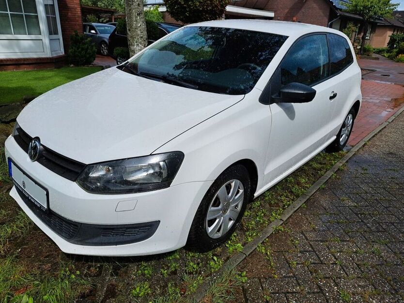 Polo
