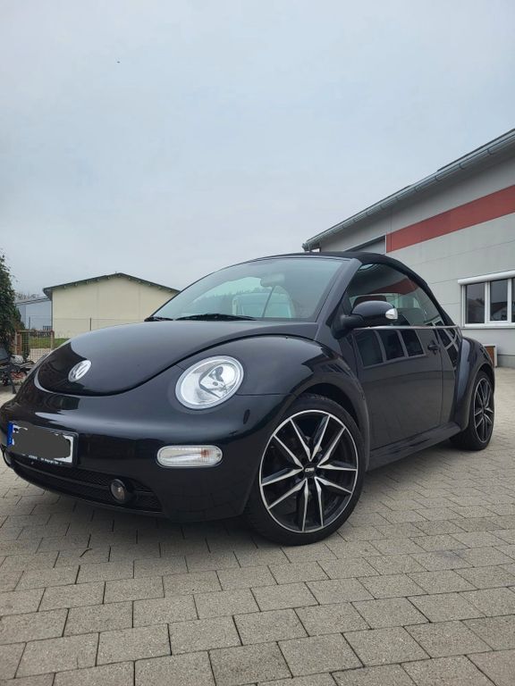 Beetle