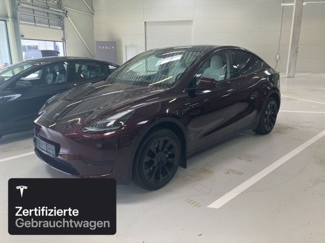Model Y
