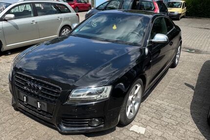 Audi A5 313.000 km 3.700 &euro; Ludwigshafen am Rhein 67071