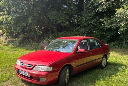 Nissan Primera 110.777 km 4.100 &euro; Ferdinandshof 17379