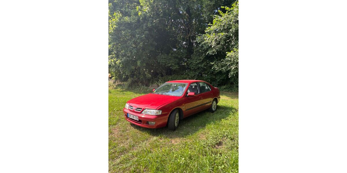 Nissan Primera 110.777 km 4.100 &euro; Ferdinandshof 17379
