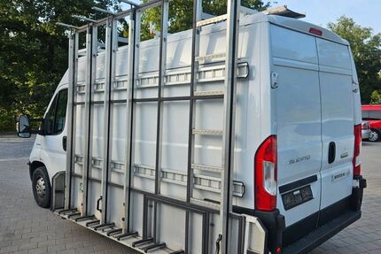 Fiat Ducato 294.379 km 8.600 &euro; Lachen-Speyerdorf 67435