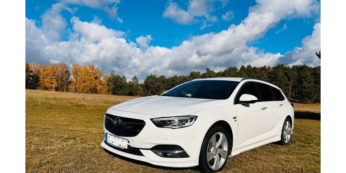 Opel Insignia 94.100 km 20.020 &euro; Schönewalde 04916