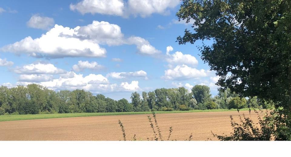 Preissturz! Gartenwohnung für handwerklichen Potentialerkenner zimmer