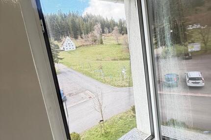 Wohnung Freudenstadt - 1 Zimmer, 16 m&sup2;, 420&euro; | Angebot:26285729