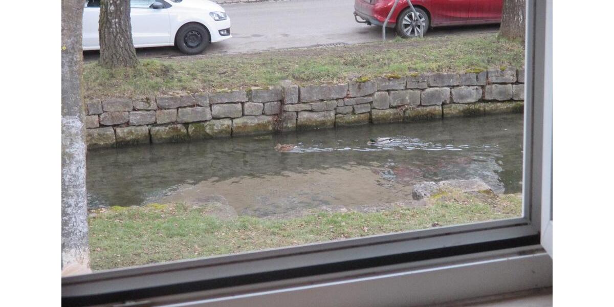 Reihenhaus Langenau - 6 Zimmer, 70 m&sup2;, 24&euro; | Angebot:25925465