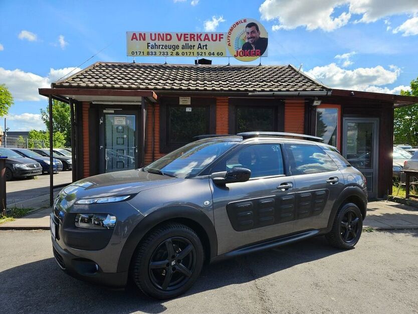 C4 Cactus