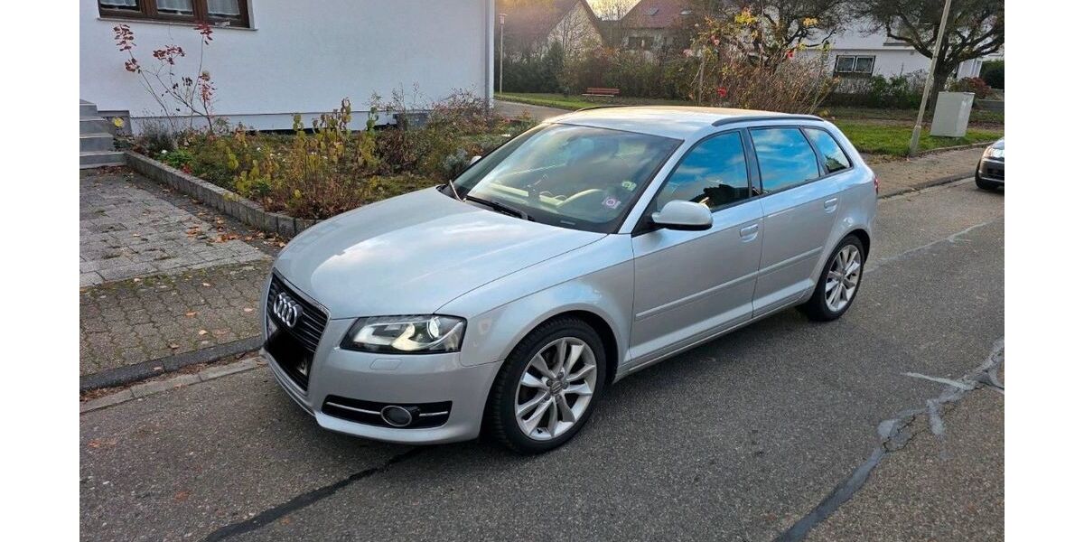 Audi A3 219.980 km 5.490 &euro; Offenburg 77652